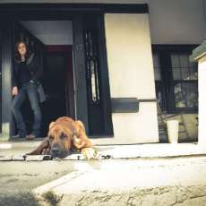 Devlin Miles Solo Promo Pic 2