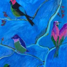 Tanager Birds