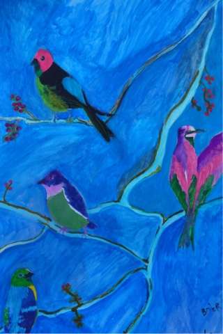 Tanager Birds