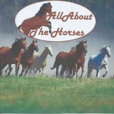 All About the Horses Logo