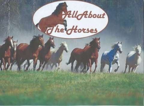 All About the Horses Logo