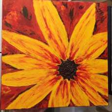 Brown-Eyed Susan