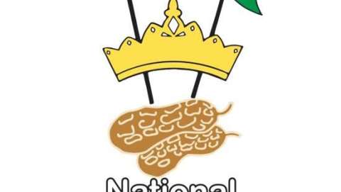 National Peanut Festival 2015 - the Fair!