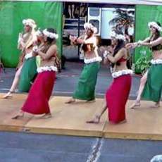 Hula Dancers