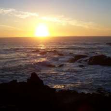 Sharon Chestang-Robinson