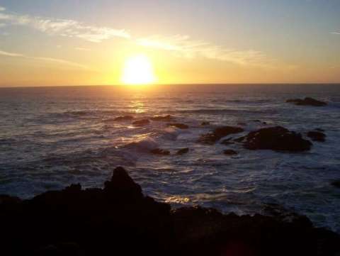 Sharon Chestang-Robinson