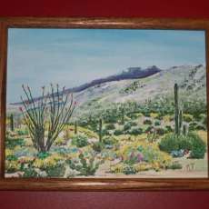 Desert in Bloom