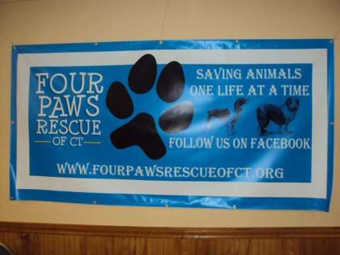 Four Paws Rescue of Ct