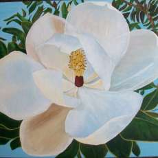 Southern Flower-Magnolia