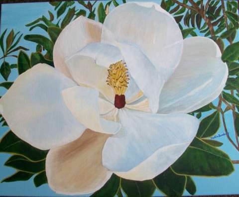 Southern Flower-Magnolia
