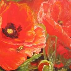 Red Poppies. Oil, Canvas