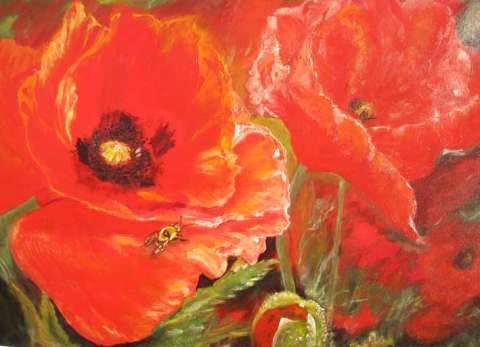 Red Poppies. Oil, Canvas