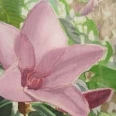 A Smile of Florida. Watercolor