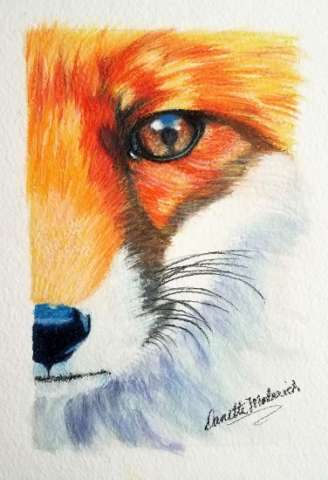 Eye of the Fox
