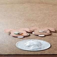 Back of Hound Earrings