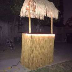 Tiki Bar Rental Available!!!
