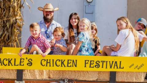 Cackle Hatchery Chicken Festival