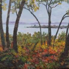 Harbor Springs Bluff