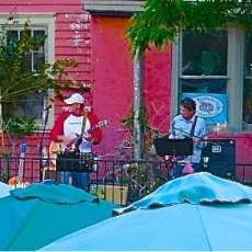 On the Creek at Robins Nest