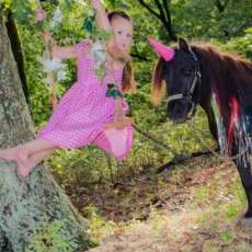 Unicorn Photo Sessions Available With Your Favorite Mini, Pony, Or Horse!