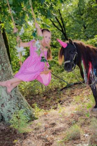Unicorn Photo Sessions Available With Your Favorite Mini, Pony, Or Horse!