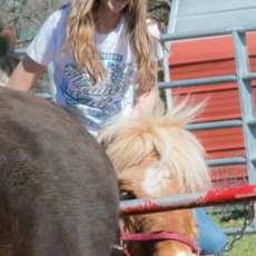 Pony Party at the Ranch
