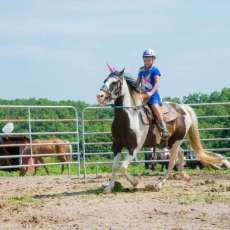 Sometimes You Get Lucky and Get to Ride Unicorns