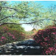 Azalea Trail