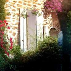 Bougainvillea Window