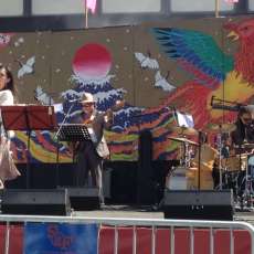 Sf Cherry Blossom Fest