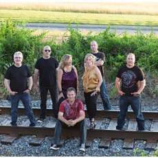 Black Swan on the Tracks