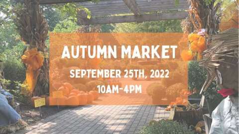 Autumn Market at The Fields!