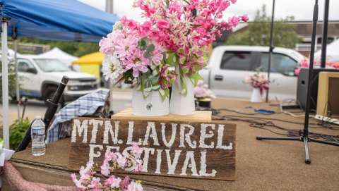 Mountain Laurel Festival