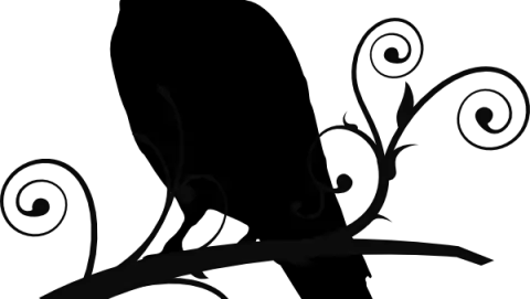 Marcos Casso Marcos Casso