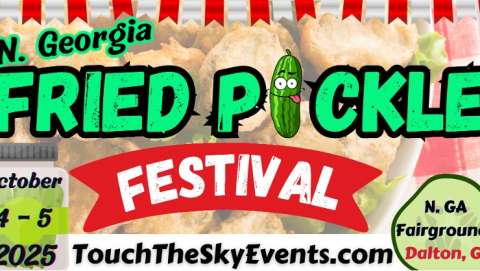 N. GA Fried Pickle Festival