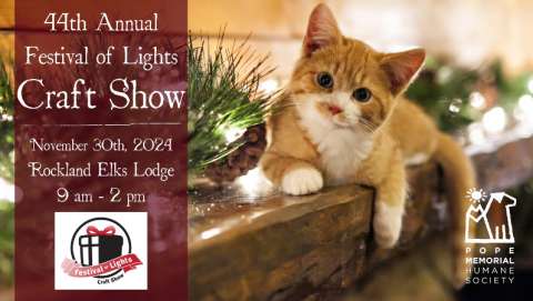 Festival of Lights Craft Show