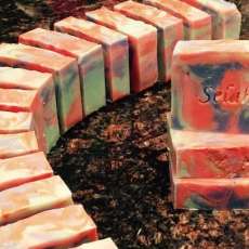 Island Retreat Soap