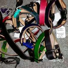 Dog Collars