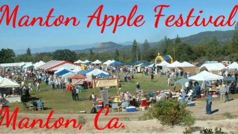 Manton Apple Festival