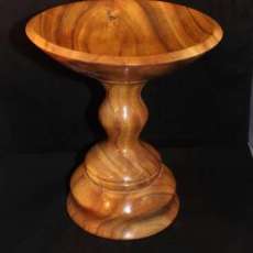 Mimosa Tazza (Award Winning)