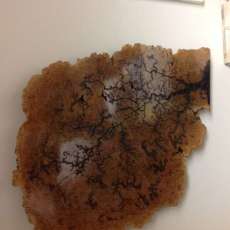 Maple Burl With Abstract Burnings