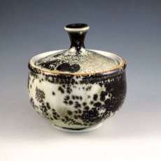 Porcelain Gas Fired Jar