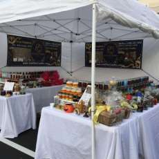 Lexington Barbecue Festival October 2015