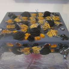 Butterfly Jewelry Box