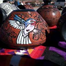 Hummingbird on Red Clay