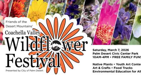 Coachella Valley Wildflower Festival