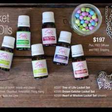 Diffuser Necklaces and Oils