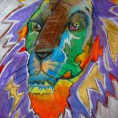 Colorful Cat II (Crazy Cat)