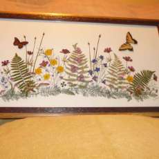 Flowers and Butterflies