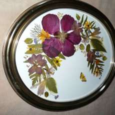 Oval Hibiscus With Butterfly